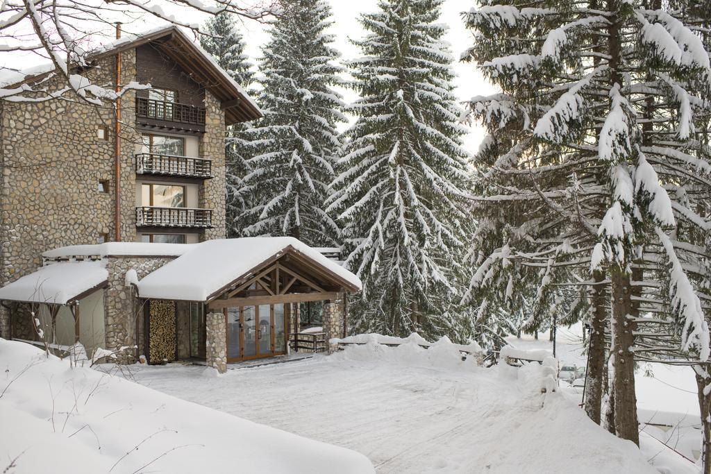 Ana Hotels Bradul Poiana Brasov Luaran gambar